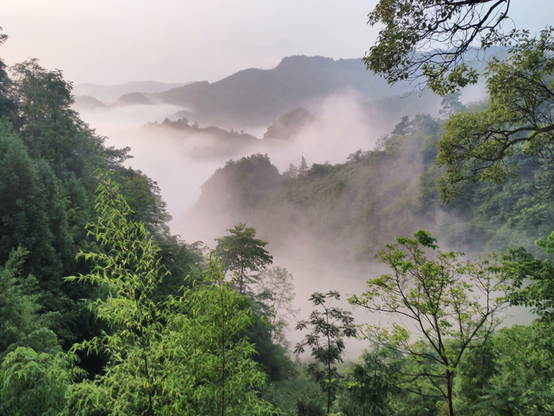 allwincity����� - ����������ٷ���