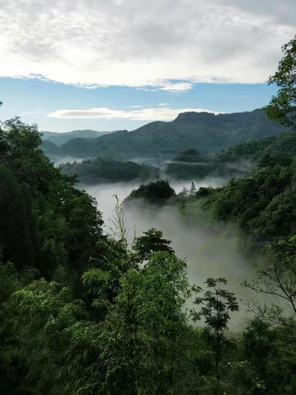 allwincity����� - ����������ٷ���