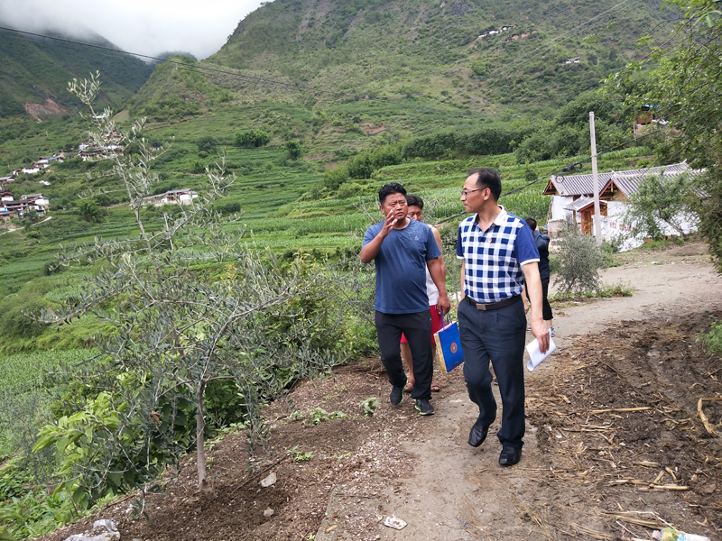 1531730362131806.jpg ×߷÷ÉÏ.jpg