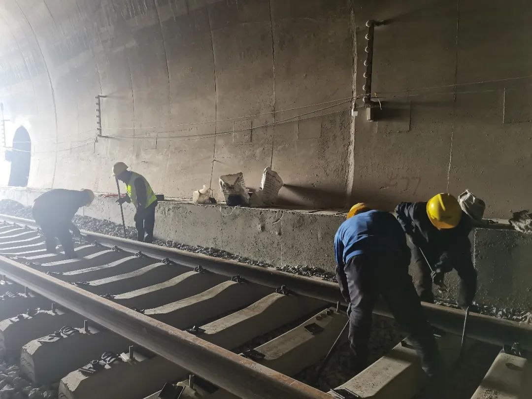 2022-06-02-��ϲӭ��ʮ�� �ܽ������̡����ƲƲ���ҵ԰����·ר���������̹�ӽ�β��.jpg